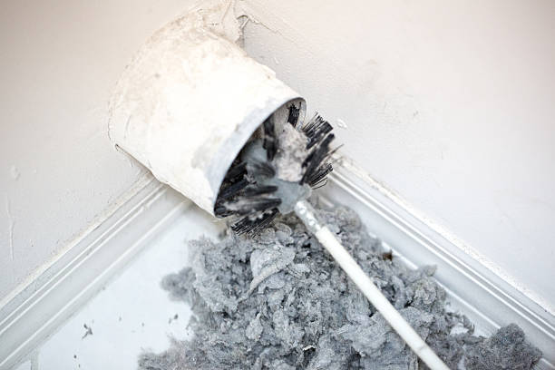Best Affordable Duct Cleaning Services  in Marysville, OH